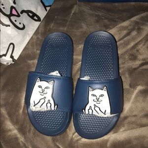 RIPNDIP slides